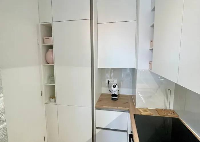 Daire Leon Ljubljana