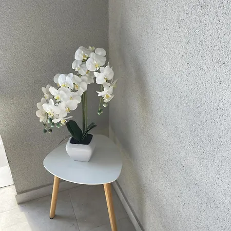 Appartamento Leon Lubiana